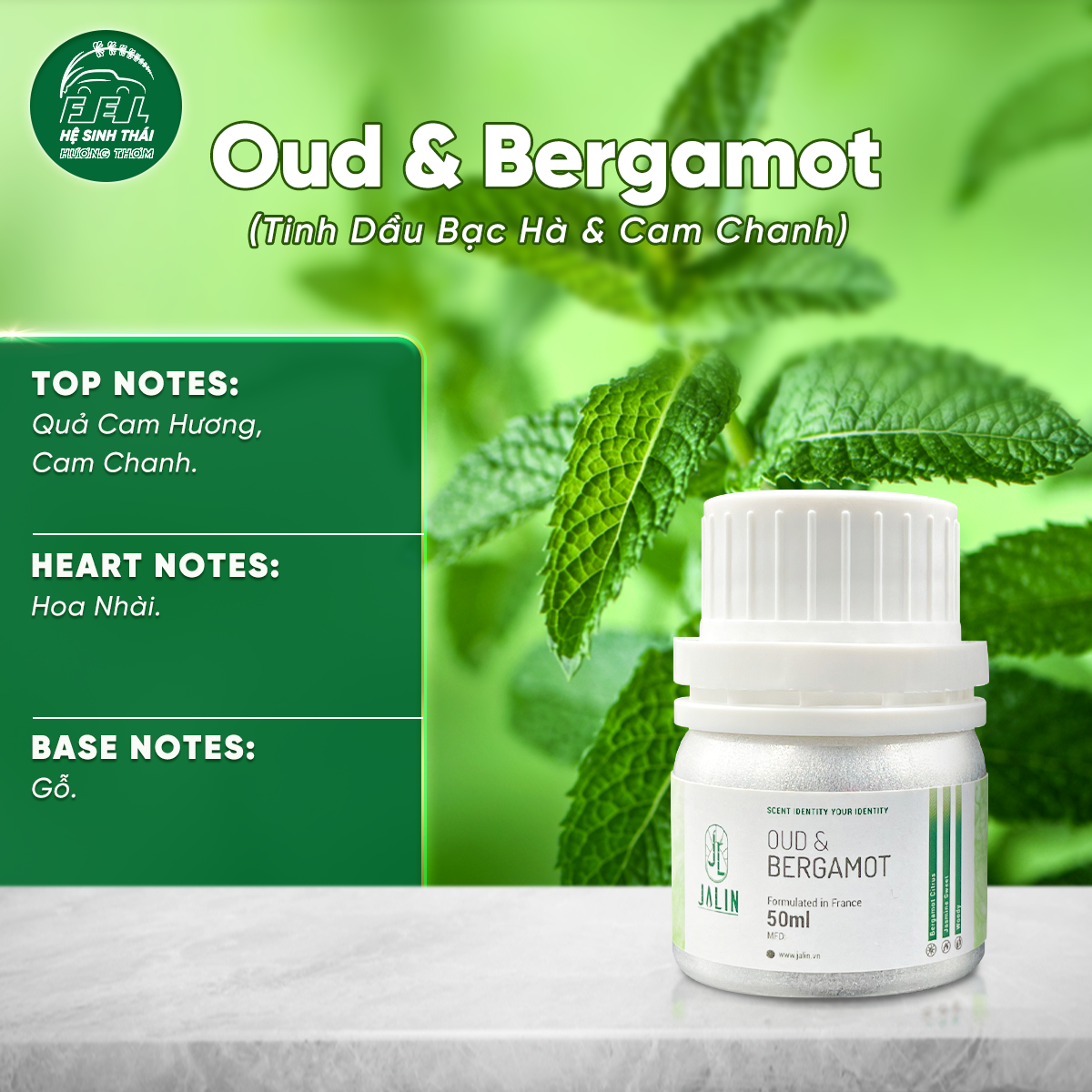Oud & Bergamot (Tinh Dầu Bạc Hà & Cam Chanh)