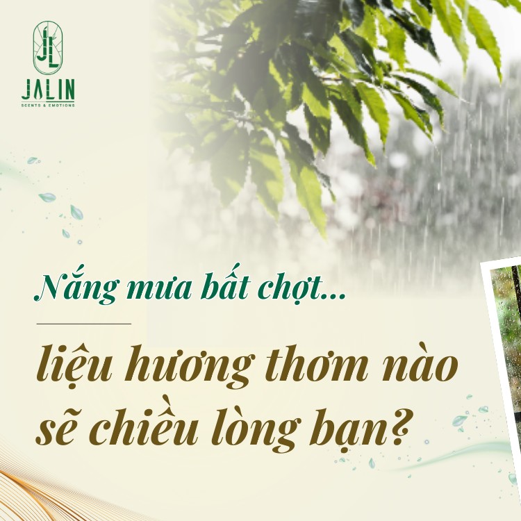 HƯƠNG THƠM – “NGƯỜI BẠN TRI KỶ” TRONG NHỮNG NGÀY NẮNG MƯA BẤT CHỢT